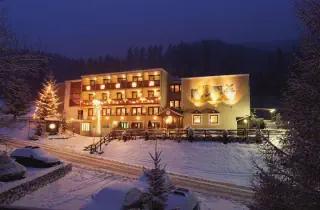 Hotel Garden Marilleva - Włochy, Trentino, Mezzana